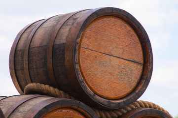 Oak kegs with  wine