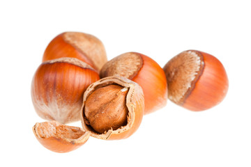 Hazelnuts