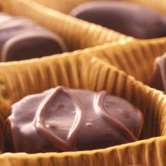 chocolate praline