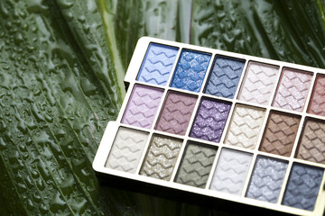 Palette of eyeshadows
