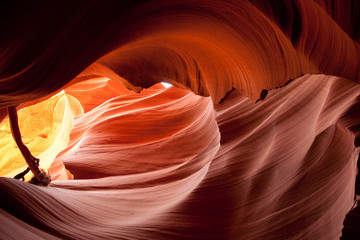 Obraz premium Lower Antelope Canyon