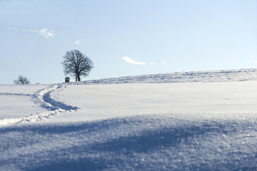 Paesaggio invernale 2