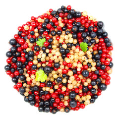 Currant berries isolated on white