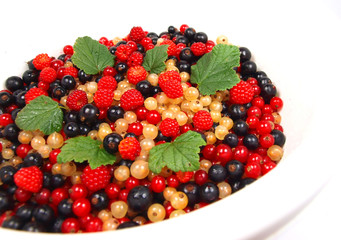 Currant with leaves in the saucer isolated on white