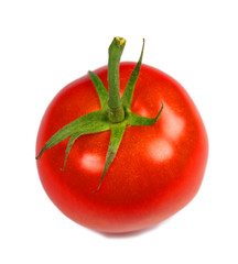 Tomato isolated on white