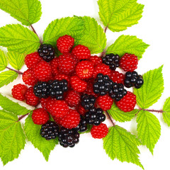 Raspberries and blackberries with leaves isolated on white