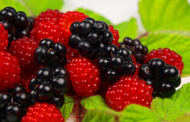 Raspberries and blackberries with leaves isolated on white