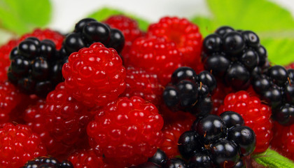 Raspberries and blackberries with leaves isolated on white