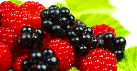 Raspberries and blackberries with leaves isolated on white