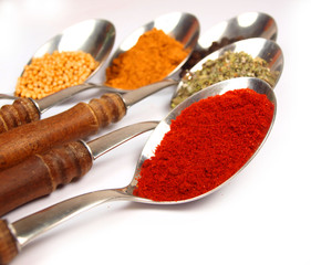 Collection of spices on spoons