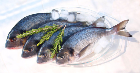 Fish with herb isolated on white