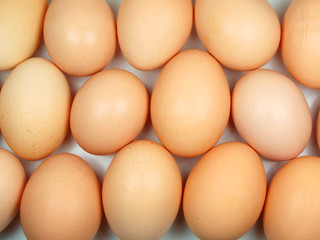 Eggs abstract background