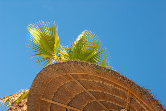 Wicker Sunshade
