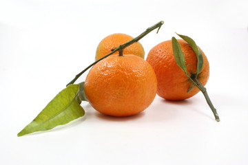 Clementinen
