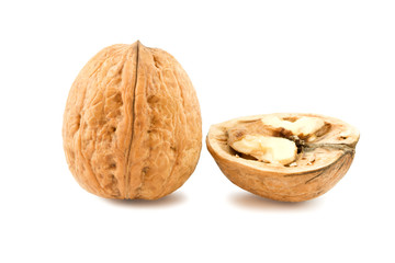 Walnut isolated on white