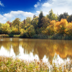 Obraz premium Lake