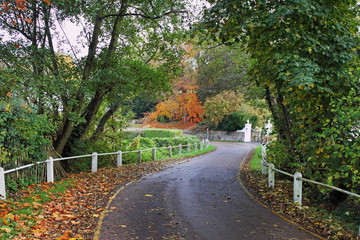 Autumn in an English rural Lane