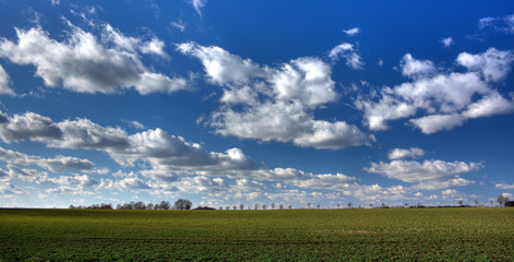 Feld und Wolkenhimmel