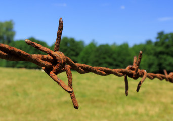 Rostiger Stacheldraht