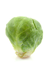 Fototapeta premium One Brussels sprouts in closeup over white background