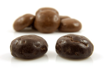 Couple of chocolate ginger nuts in closeup over white background