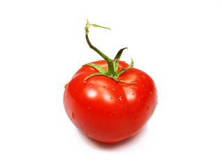 Tomate