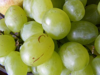 the grapes