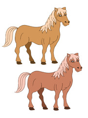 two brown horse