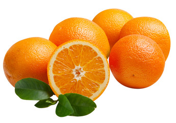 Group of oranges isolated