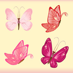 Fototapeta na wymiar Four colorful butterflies