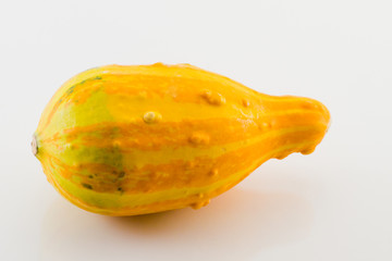 Yellow Gourd