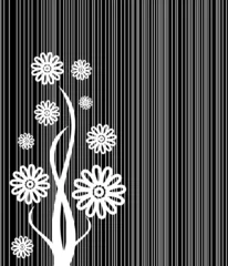 Cercles muraux Fleurs noir et blanc Couverture de lignes de fleurs abstraites