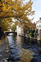 Fototapeta na wymiar Autunno Brugge