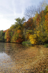 Fototapeta premium Herbstlich gefärbter Wald - See