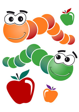 gusano