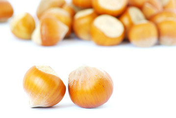 hazelnuts