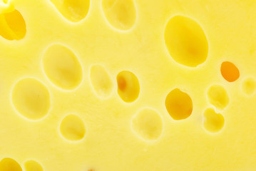 cheese