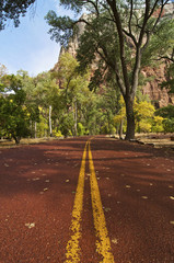 Road at Zion National Park in Utah