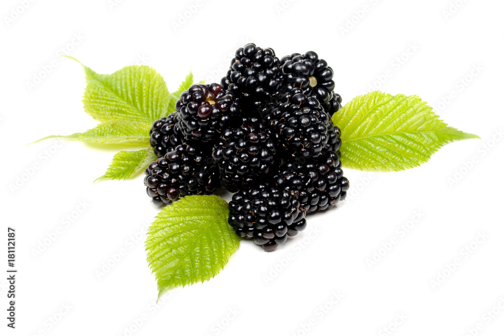 Wall mural blackberry