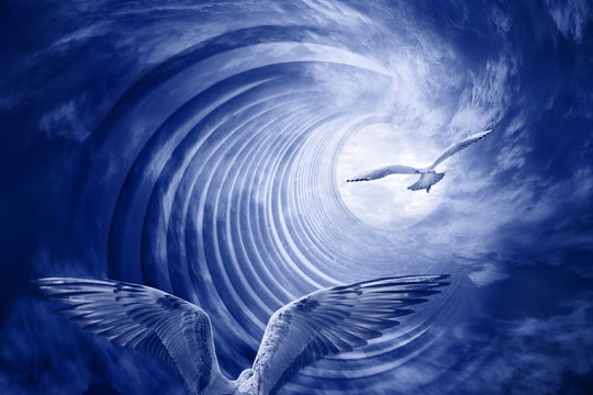 Spirale mit V&ouml;gel