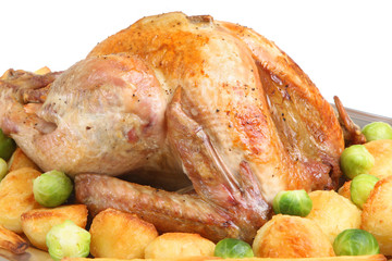 Roast Turkey with Vegetables