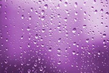 violet raindrops