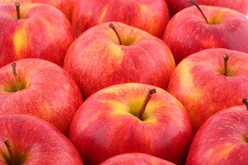 Red apples close up