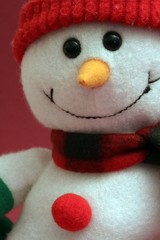 Schneemannportrait