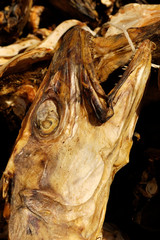 Stockfish
