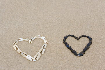 Muschelherzen am Strand