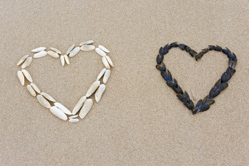 Muschelherzen am Strand
