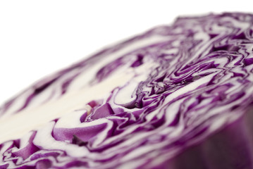Obraz premium Extreme close-up of purple cabbage