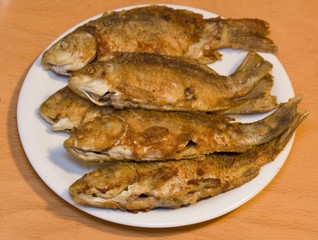Fried fish in plate