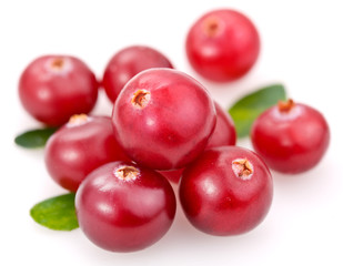 Cranberries on a white background